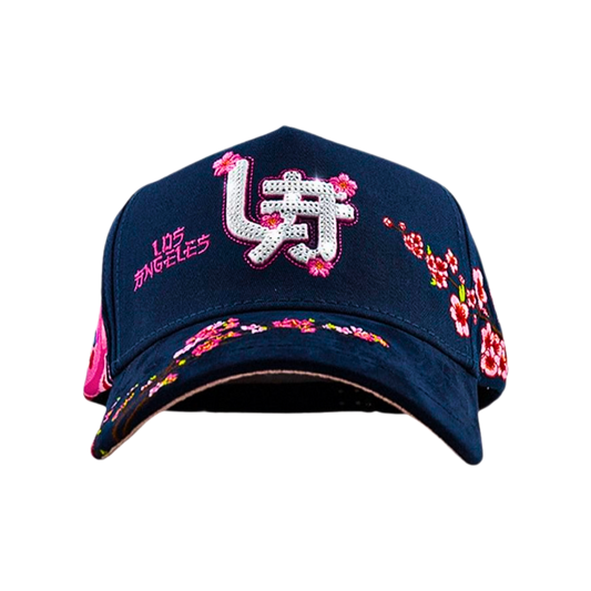 DMG - LA JAPAN (KIRBY)