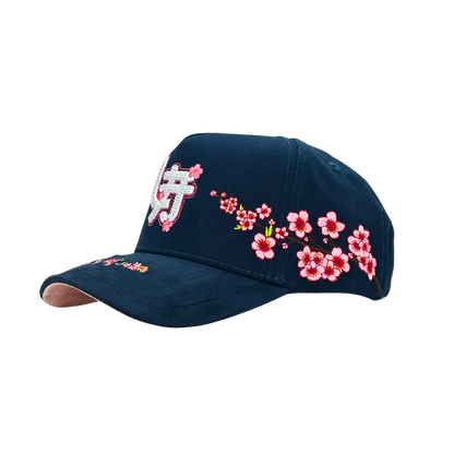 DMG - LA JAPAN (KIRBY)
